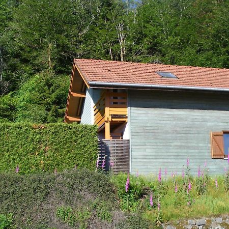 Saint-Nabord Le Chalet מראה חיצוני תמונה