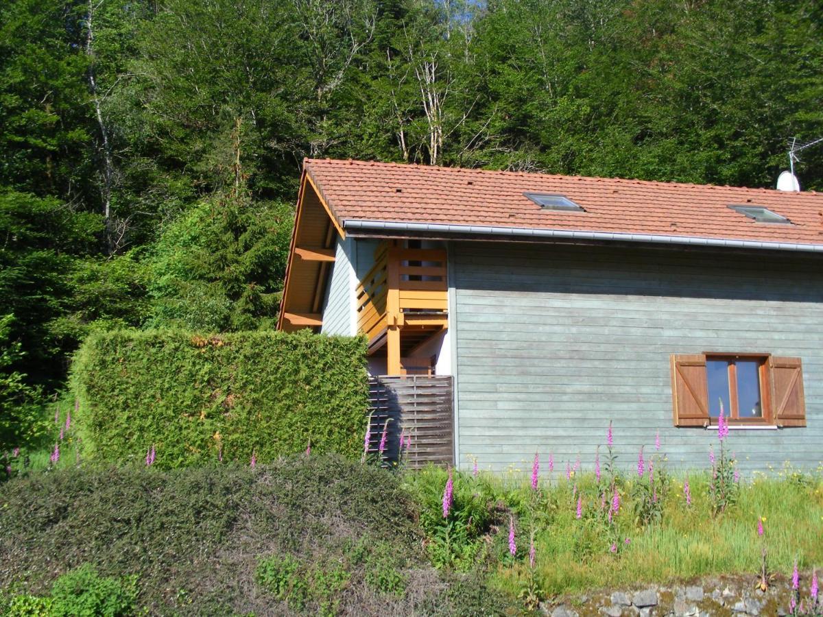 Saint-Nabord Le Chalet מראה חיצוני תמונה